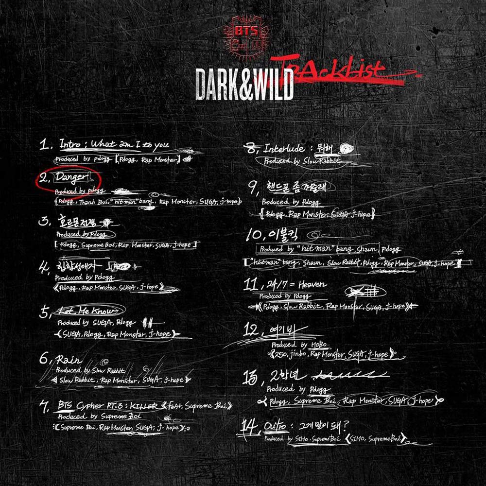 BTS 1st Album: Dark & Wild