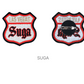 BTS - ARIRANG World Tour Exclusive Merch (Wappen Sticker / Image Picket / Las Vegas Pin Badge)