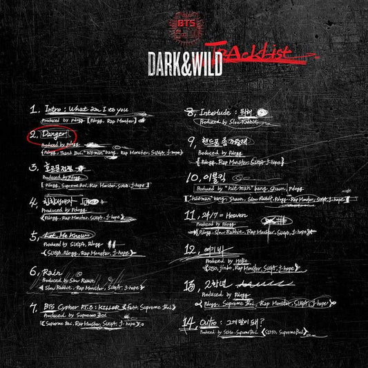 BTS 1st Album: Dark & Wild